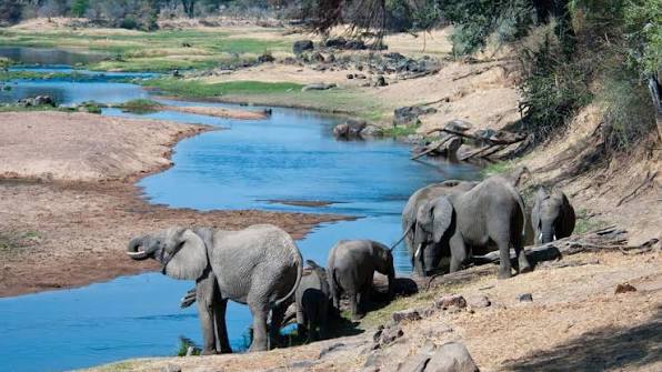 Ruaha