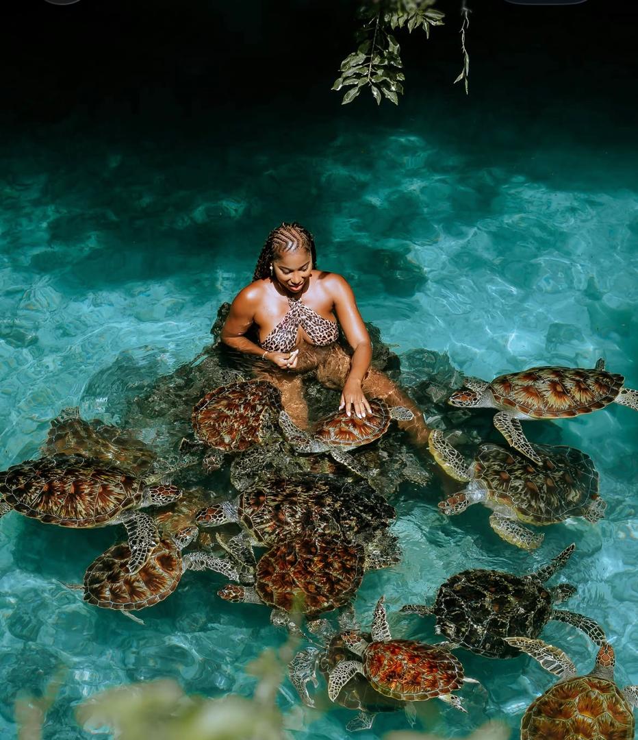 Salaam Cave Aquarium