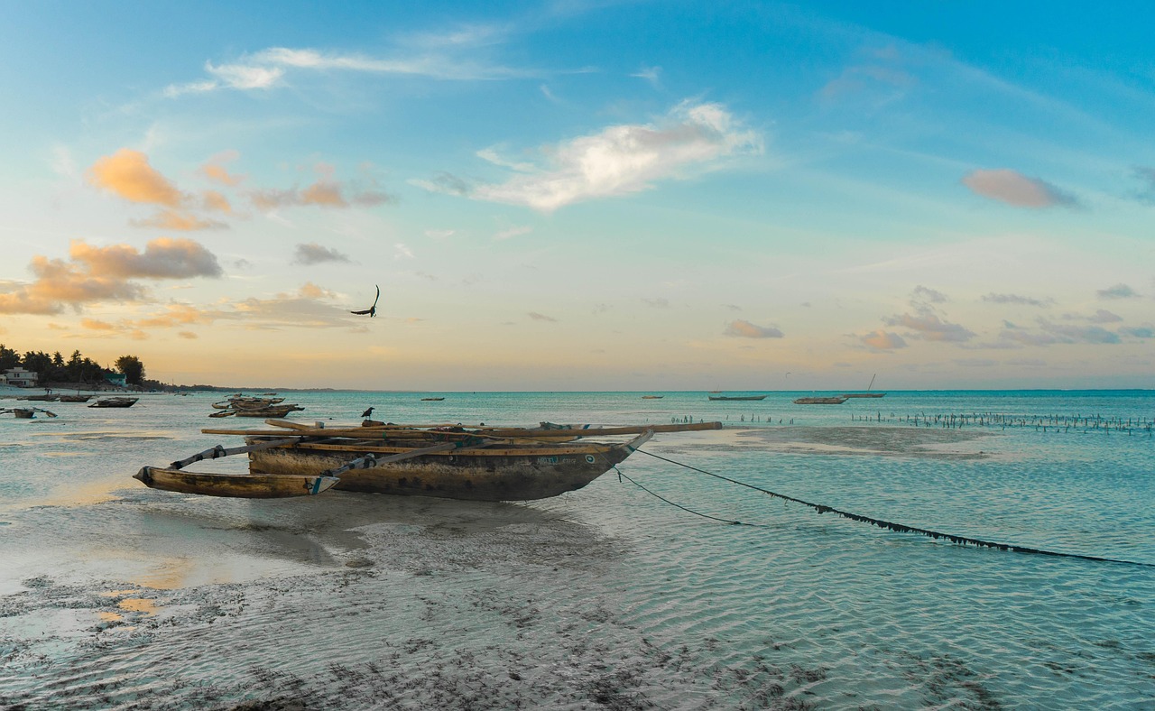 Deep Sea Fishing Zanzibar